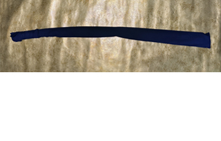 埼玉県3月11日T様