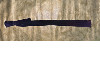 栃木県3月15日M様